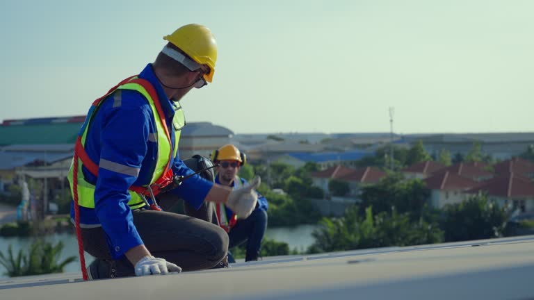 Best Rubber Roofing (EPDM, TPO)  in Hawthorn Woods, IL