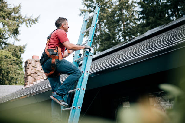 Best Chimney Flashing Repair  in Hawthorn Woods, IL